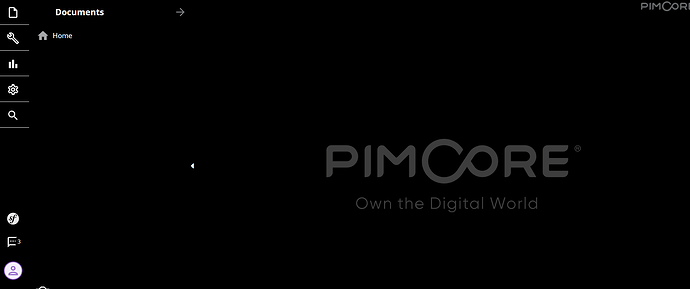 2024-11-13 14_32_03-192.168.115.17 __ Pimcore