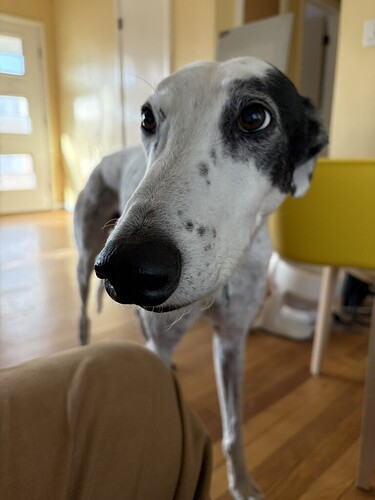 84F0092A-5F0C-43C1-9243-41CD41D10360_1_105_c