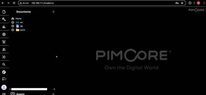 2024-11-20 14_06_35-192.168.111.41 __ Pimcore